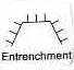 entrenched_normal